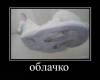 <b>Название: </b>Фотография 1, <b>Добавил:<b> Алексе<br>Размеры: 510x436, 21.5 Кб